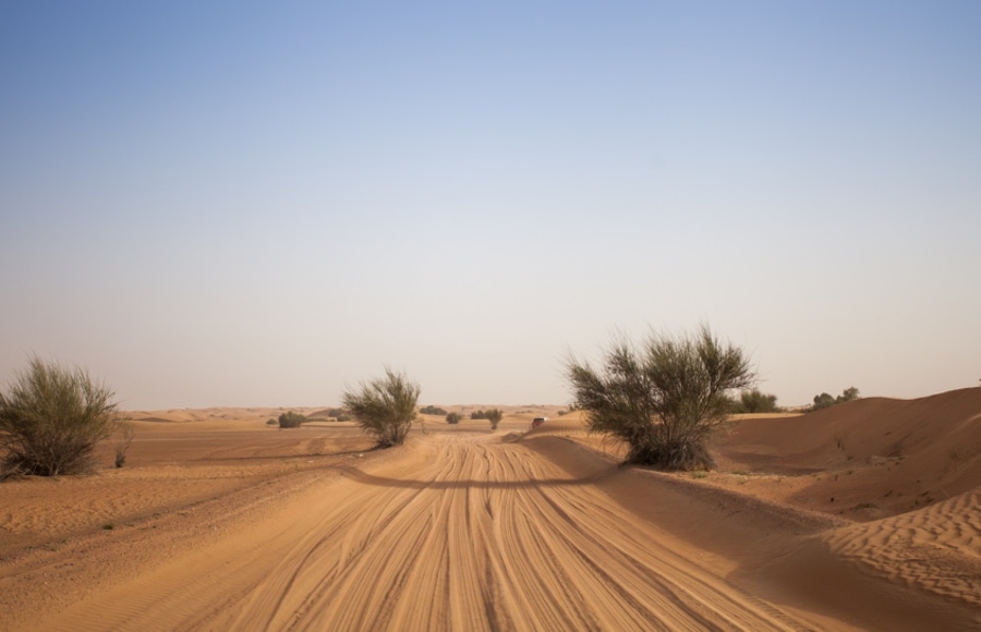 Dubai desert
