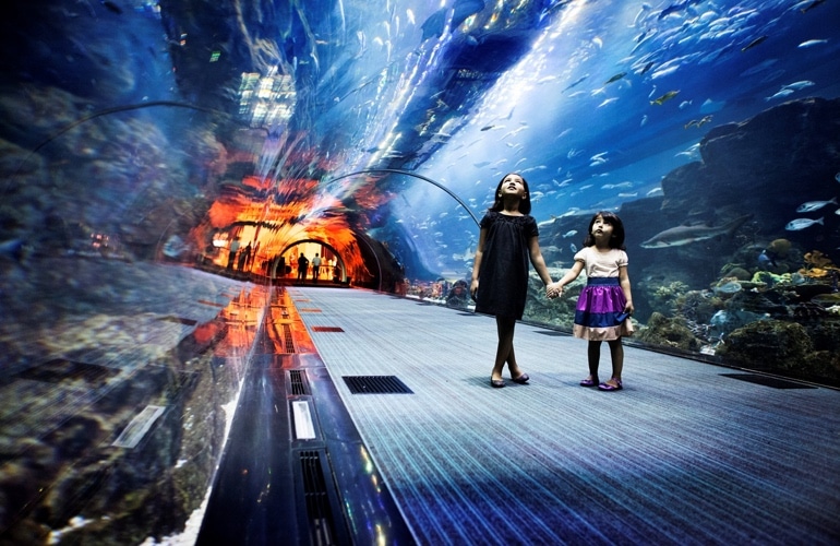 Dubai Aquarium