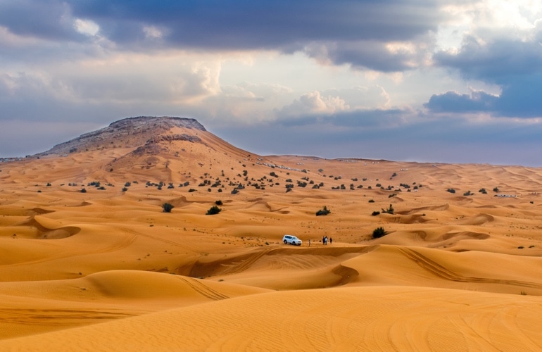 Dubai Desert Safari